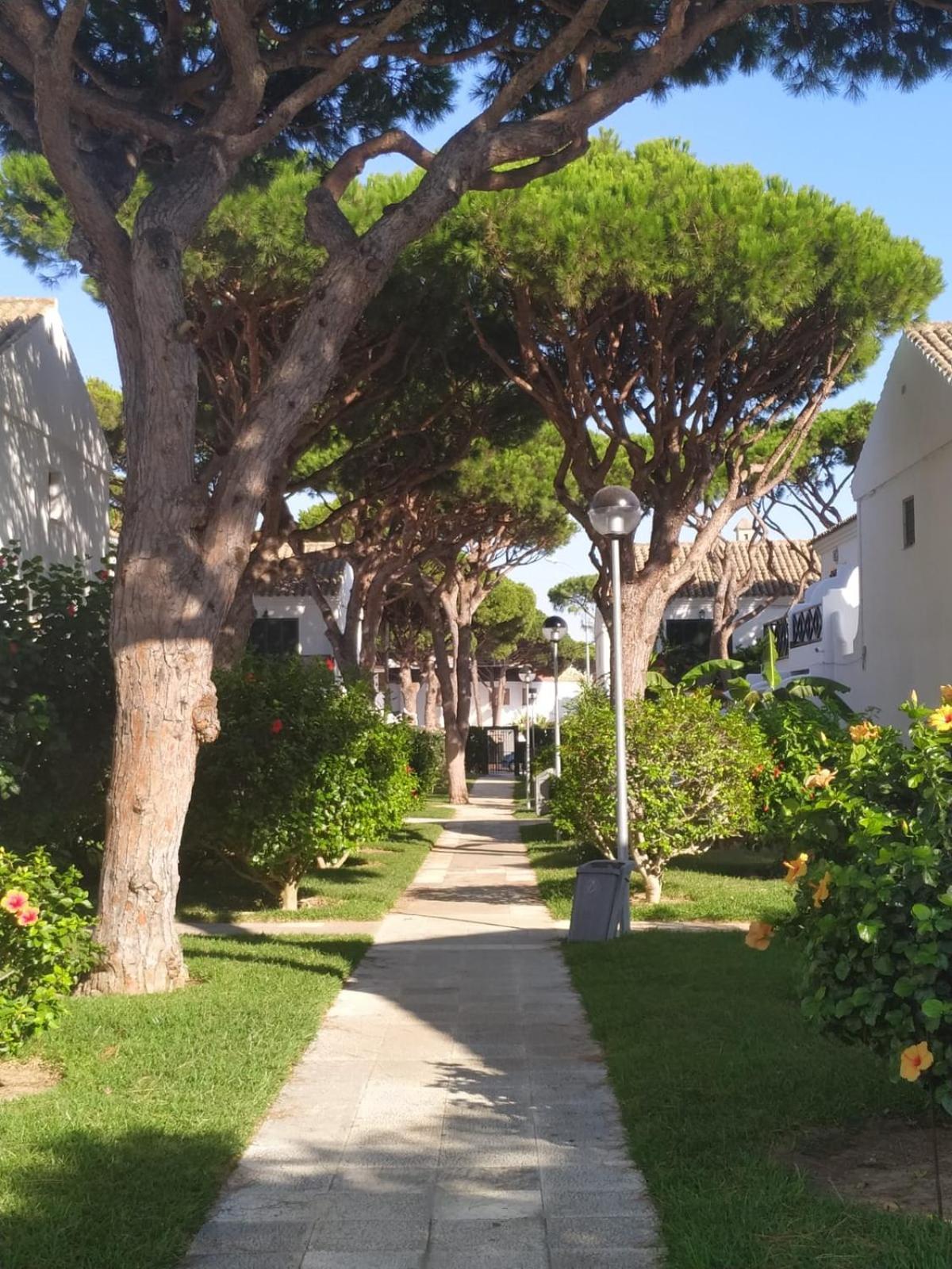 La Barrosa Duplex Villa Chiclana de la Frontera Luaran gambar
